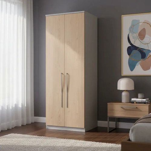 Módulo de Guarda Roupa 2 Portas 2 Gavetas com Cabideiro Elegance Cinza/Níquel/Angelin Níquel/Angelin